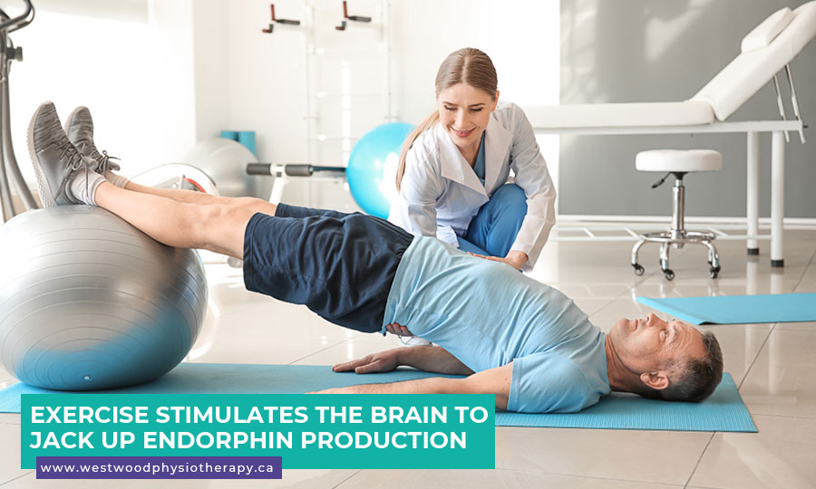 Exercise stimulates the brain to jack up endorphin production