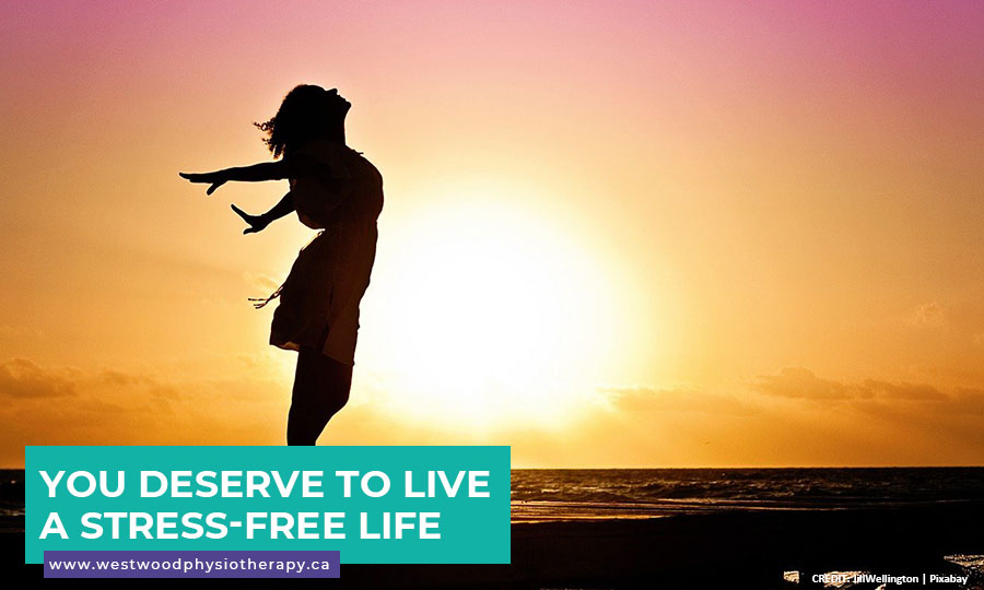 You deserve to live a stress-free life