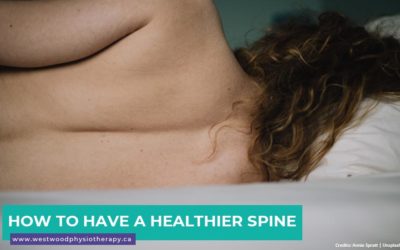 How to Have a Healthier Spine