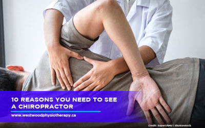 10 Reasons You Need to See a Chiropractor
