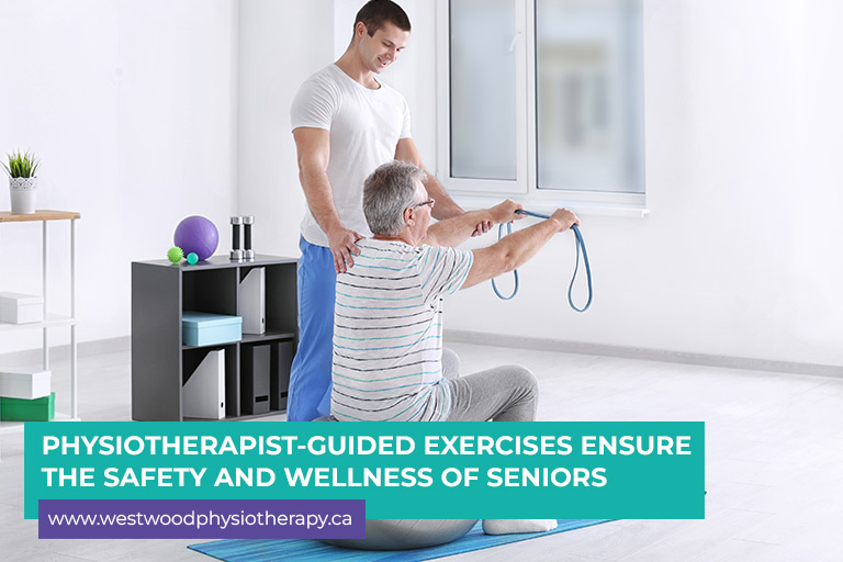 Physiotherapist-guided exercises ensure the safety and wellness of seniors