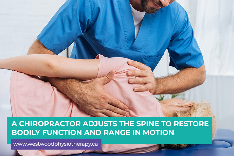 A chiropractor adjusts the spine to restore bodily function and range of motion