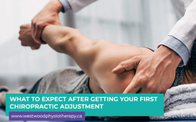 What to Expect After Getting Your First Chiropractic Adjustment
