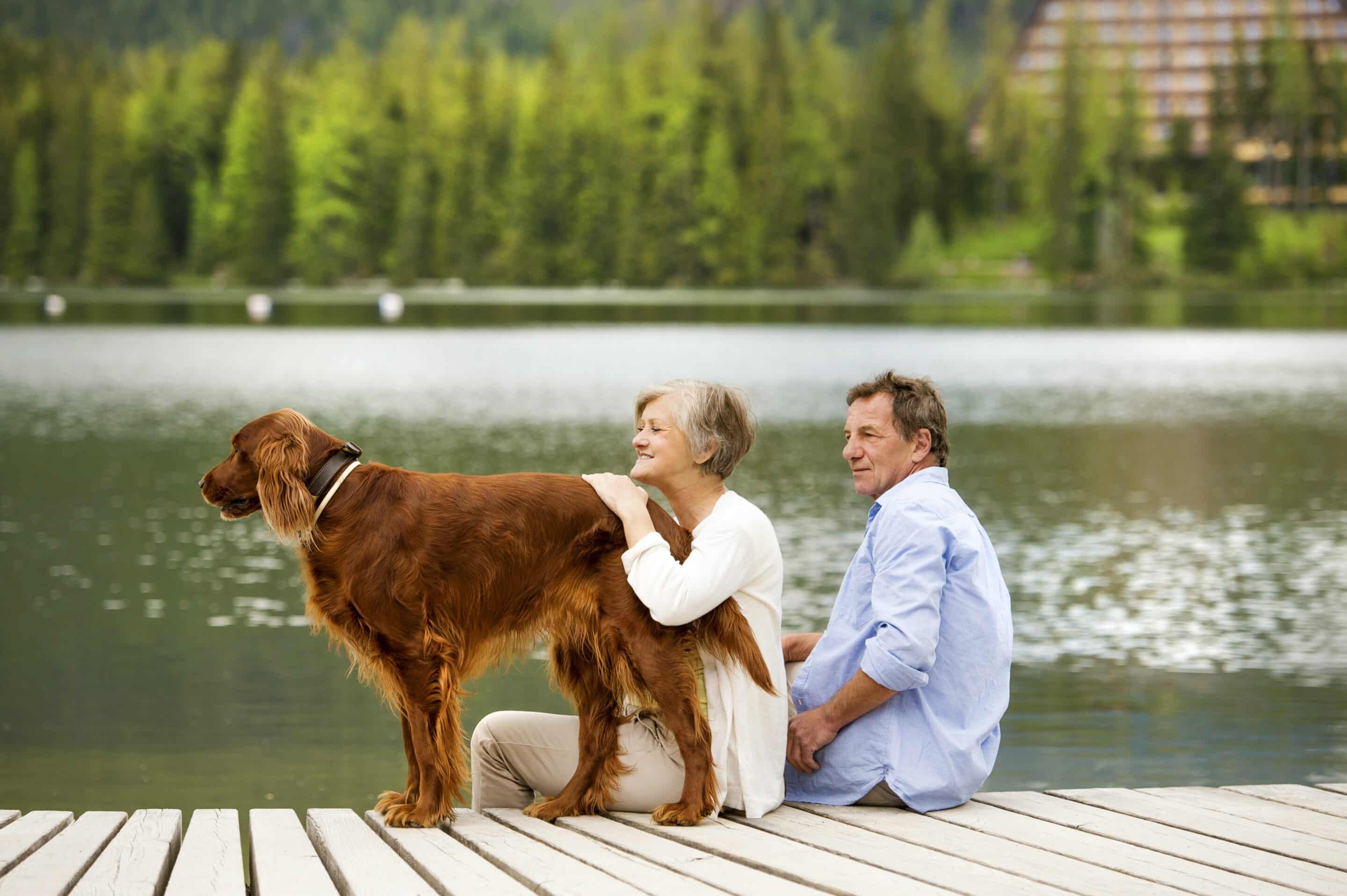 stroke rehabilitation
